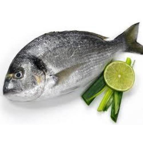 Seabream-about 500g