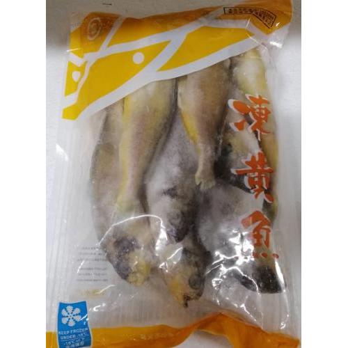 HS Frozen Small Yellow Croaker