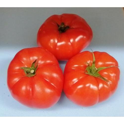 Beef tomato-2pcs