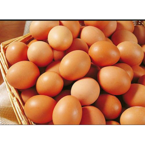 M Free Range Egg -30pcs