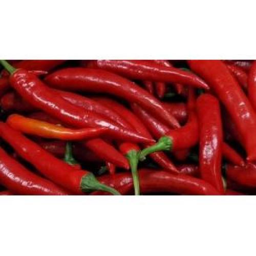 Long Red Chilli 200g