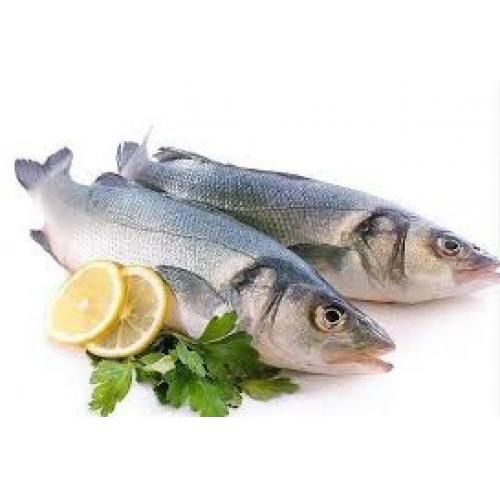 Seabass-about 700g