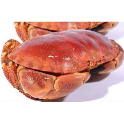 Live Crab- 1kg