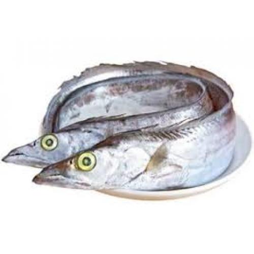 Fresh ribbon fish -1kg（pre order）