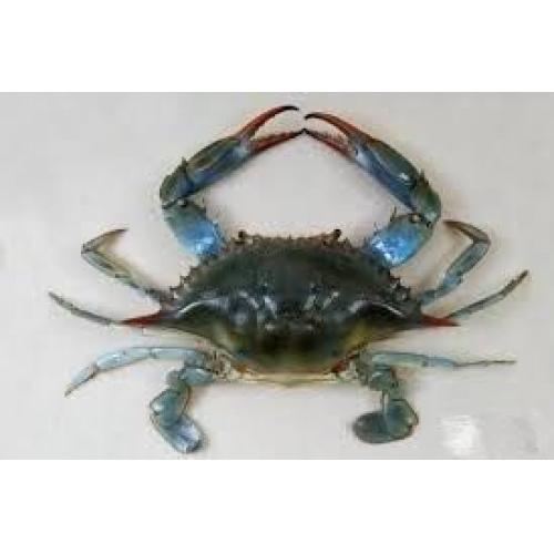 Blue Crab -500g(2--3)