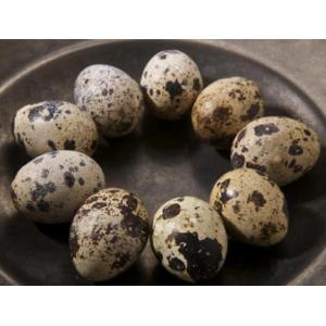 12 QUAIL EGGS