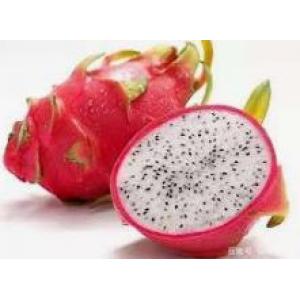 Thai White Dragon Fruit-450-500g