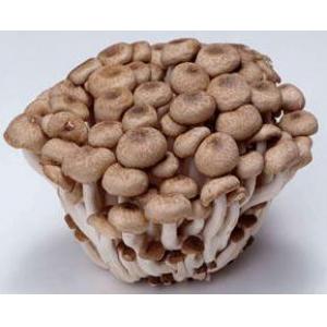 Crab Mushroom-150g