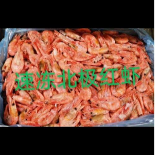 Whole Atlantic Prawns