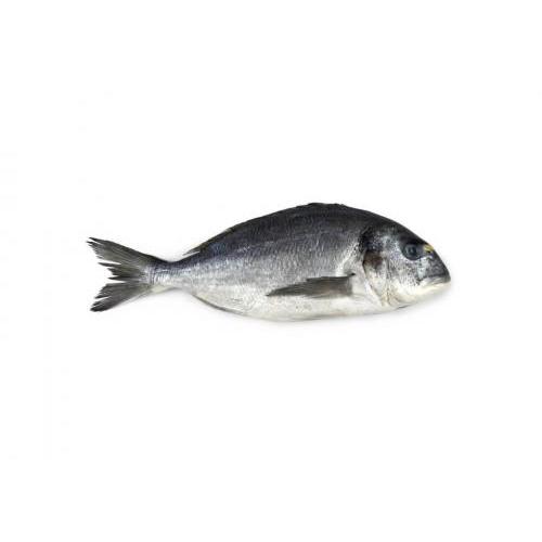 Seabream-about 600-700g