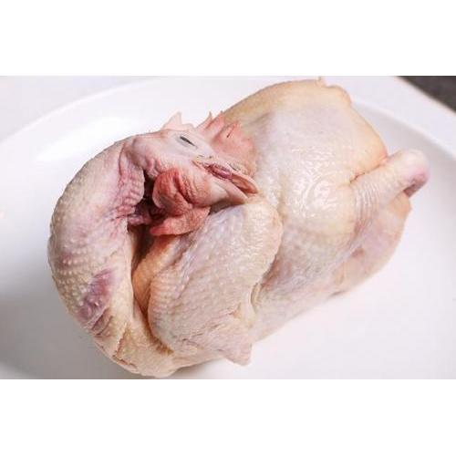 Fresh Whole hens -1pc