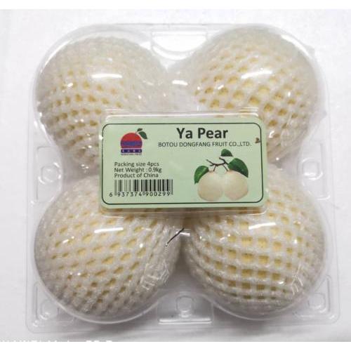 chinese pear-4pcs