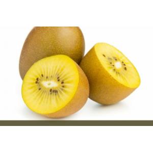 L Golden Kiwi-3pcs