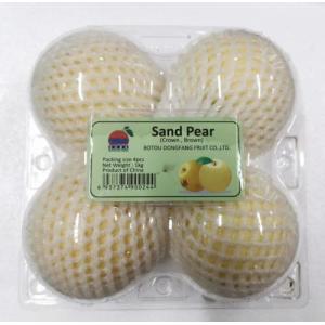 Sandy Pear-4pcs