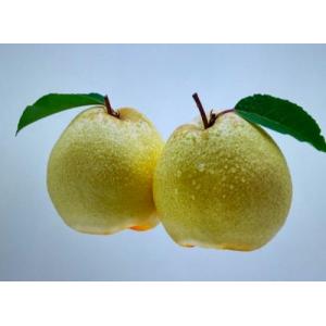   Fresh mountain Pear-3pcs