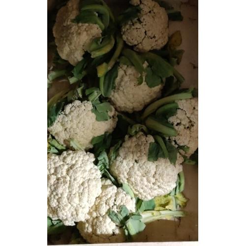 Chinese Califlower-1kg