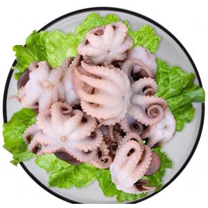 Frozen baby Octopus-800g（60/40）