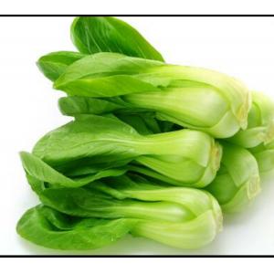 Green Pai Choi-500g