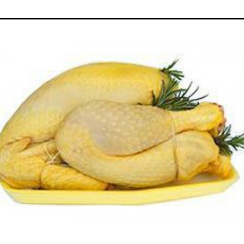 Fresh Whole Corn Chicken-1pc