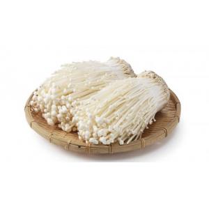  Enoki Mushroom 100g 