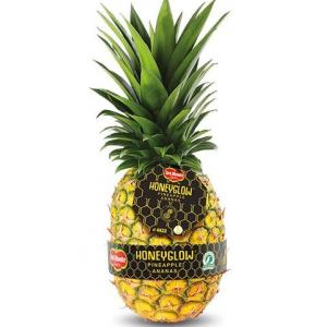 Pineapple-1pc