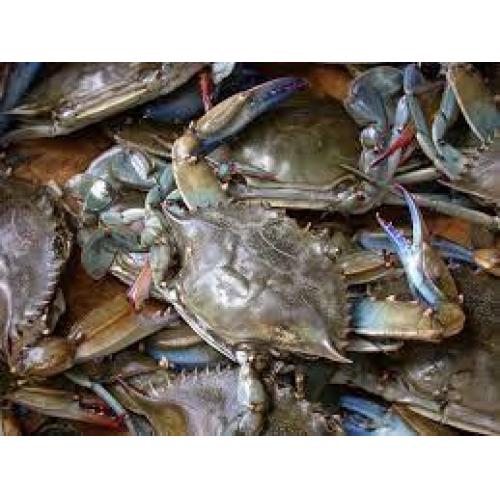 Greece Crab-500g