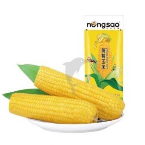 DBNS  Sweet  corn  (yellow )