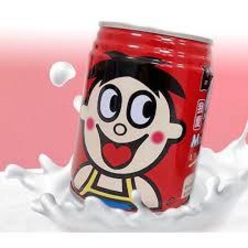 wangzai milk 245g